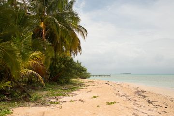 IMG_5487