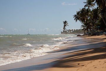 11032013-165.jpg