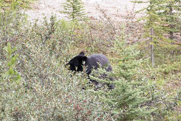 IMG_0393
