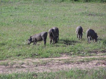 100_1590.jpg