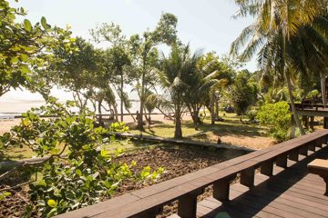 IMG_1066