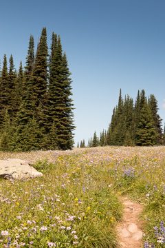 IMG_9923