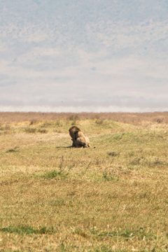 IMG_6325