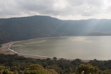 IMG_6574