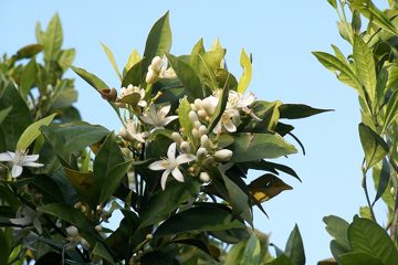 100_2195.jpg