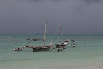 IMG_7930