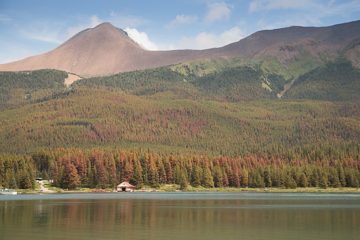 IMG_0040