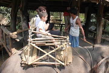 IMG_0520.jpg