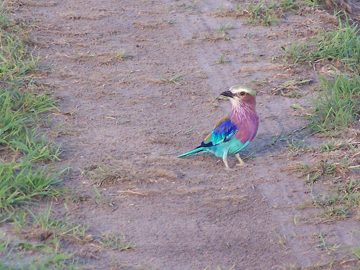 100_1540.jpg
