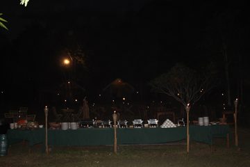 IMG_0452.jpg