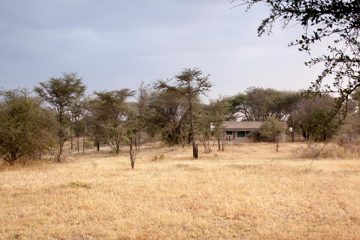 P-IMG_6386-2