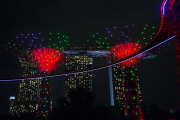 IMG_9790
