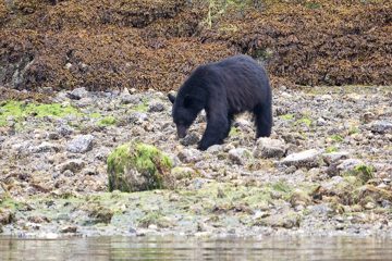 IMG_0830