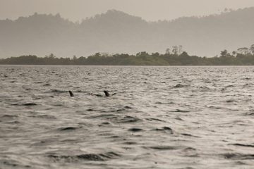 IMG_5421
