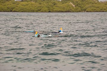 IMG_5433
