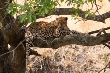 IMG_7159