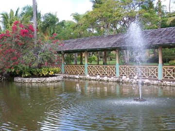 100_2679.jpg