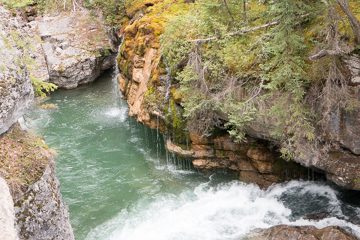 IMG_0021