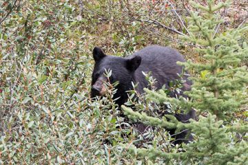 IMG_0392