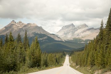 IMG_0298
