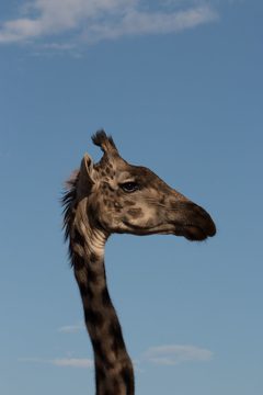 IMG_7260