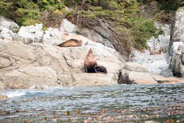 IMG_0731