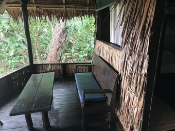 IMG_2847