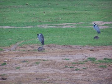 100_1284.jpg