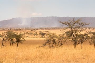 IMG_7201