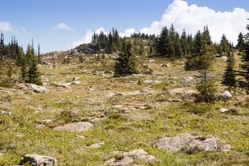 IMG_9928