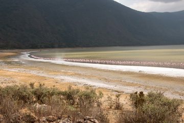 IMG_6554