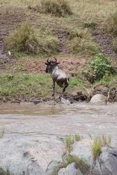 P-IMG_6711-2