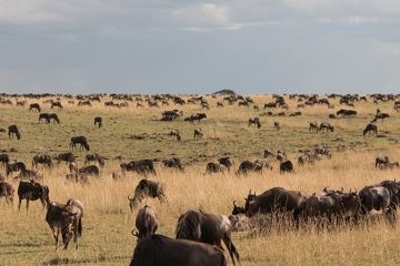 IMG_7543