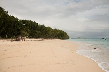 IMG_5536