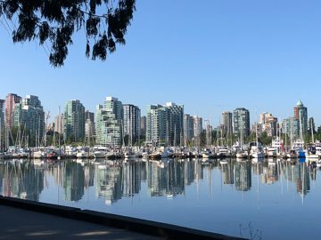 IMG_1226