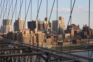 IMG_1441.jpg