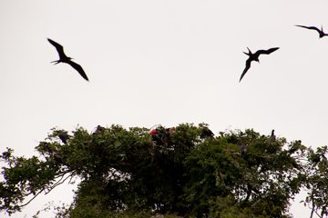 05032013-43.jpg