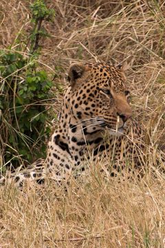 IMG_7134
