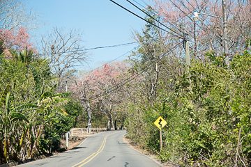 IMG_8650