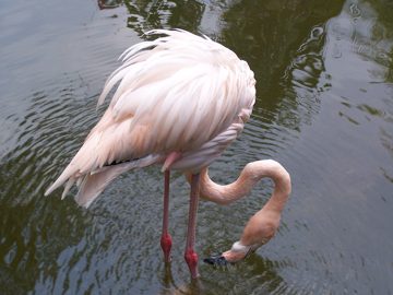 100_2793.jpg