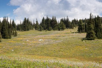 IMG_9924