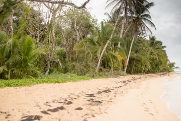 IMG_5456