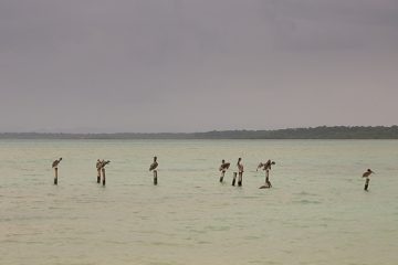 IMG_5447