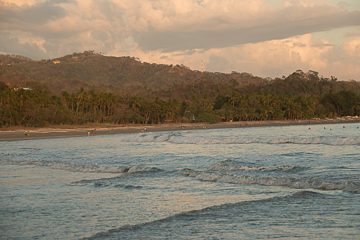 IMG_8879