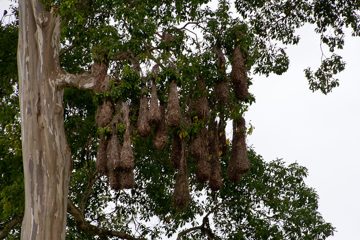 19022012-58.jpg