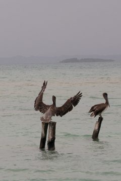 IMG_5450