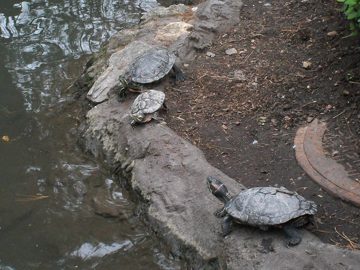 100_0472.jpg