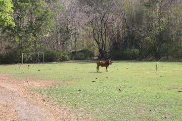 IMG_0470.jpg