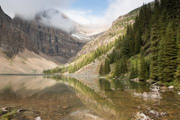 IMG_0241
