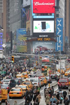 IMG_1263.jpg